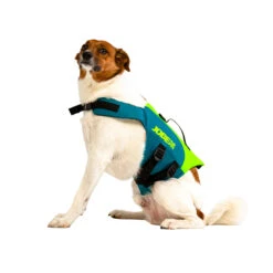 JOBE LIFE VEST FOR DOGS FOR USE DURING STAND UP PADDLE BOARDING, KAYAKING, SAILING 9 JOBE LIFE VEST FOR DOGS FOR USE DURING STAND UP PADDLE BOARDING, KAYAKING, SAILING -Nomad Kayaks k039b9c13c14ebb36eefbce0e1a3f9718