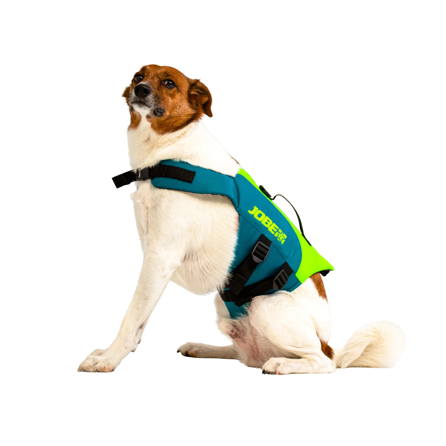JOBE LIFE VEST FOR DOGS FOR USE DURING STAND UP PADDLE BOARDING, KAYAKING, SAILING 5 JOBE LIFE VEST FOR DOGS FOR USE DURING STAND UP PADDLE BOARDING, KAYAKING, SAILING - Image 5