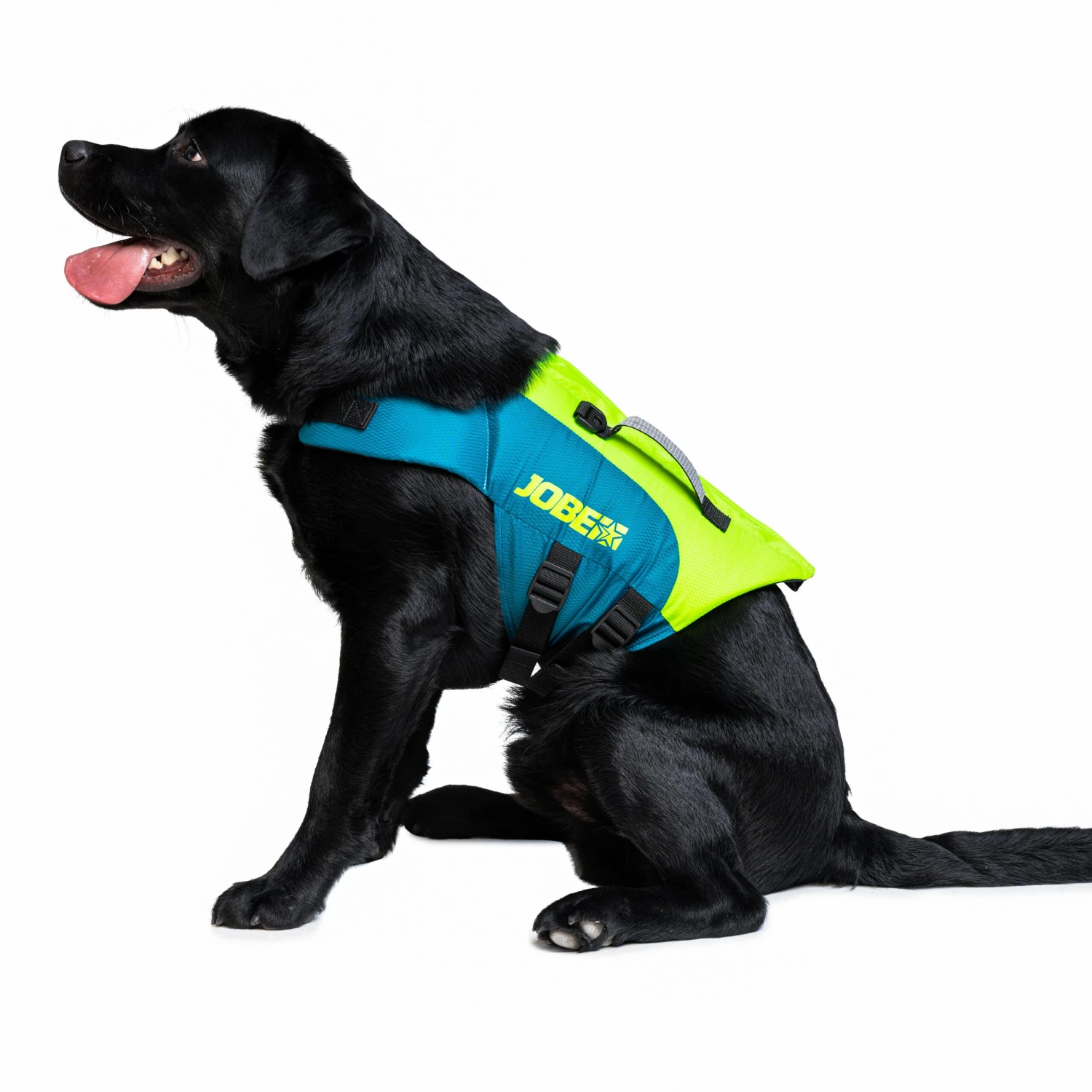 JOBE LIFE VEST FOR DOGS FOR USE DURING STAND UP PADDLE BOARDING, KAYAKING, SAILING 2 JOBE LIFE VEST FOR DOGS FOR USE DURING STAND UP PADDLE BOARDING, KAYAKING, SAILING - Image 2