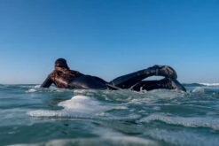 500 3 Mm Neoprene Surf Boots -Nomad Kayaks kcfaa1dc8ba03470d1cbed01ec1bdea38