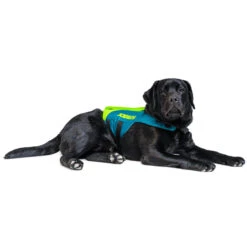 JOBE LIFE VEST FOR DOGS FOR USE DURING STAND UP PADDLE BOARDING, KAYAKING, SAILING 7 JOBE LIFE VEST FOR DOGS FOR USE DURING STAND UP PADDLE BOARDING, KAYAKING, SAILING -Nomad Kayaks kfe414141fe91cbdc60aacb23cb9243eb